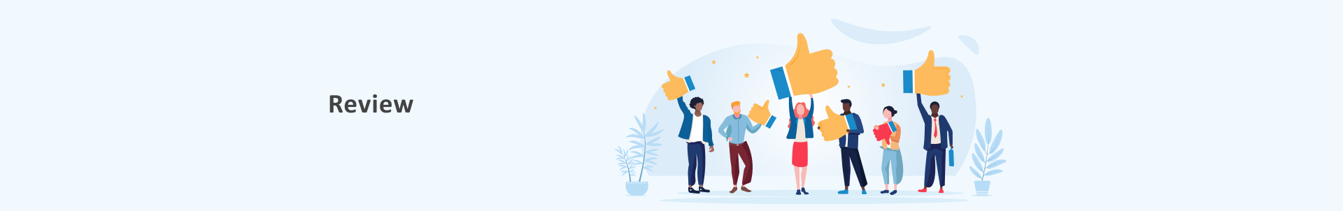 Customer
    Review