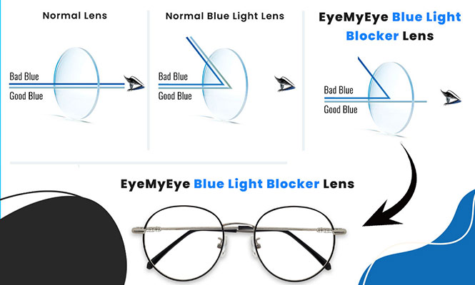 Blue Light Harms Fruit Fly Eyes and Brains - Natural Eye Care Blog