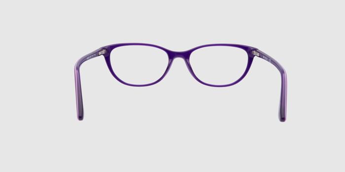  Indigo Full frame Cat eye Eyeglasses for Women