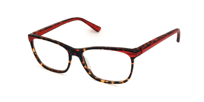 Etnia Barcelona Multicolor Full Frame Rectangle Eyeglasses for Men and Women