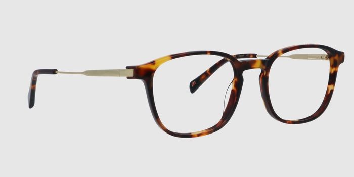  Brown Full rim Round Eyeglasses for Men and Women