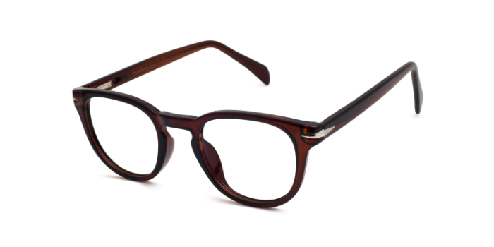  Brown Full Frame Round Eyeglasses for Men and Women