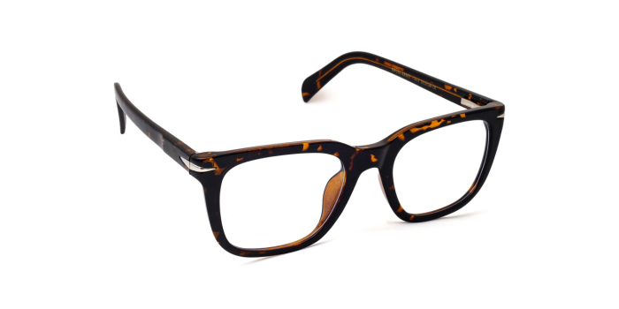  Tortoise Full Frame Wayfarer Eyeglasses for Men and Women