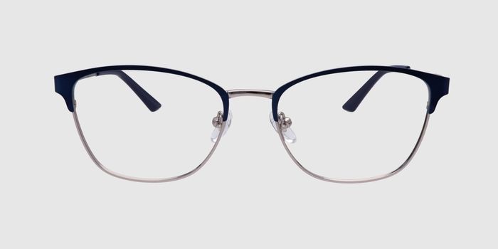  Blue Full frame Rectangle Eyeglasses for Men and Women