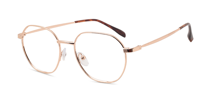  Gold Full Frame Hexagon Eyeglasses for Men and Women