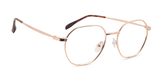  Gold Full Frame Hexagon Eyeglasses for Men and Women