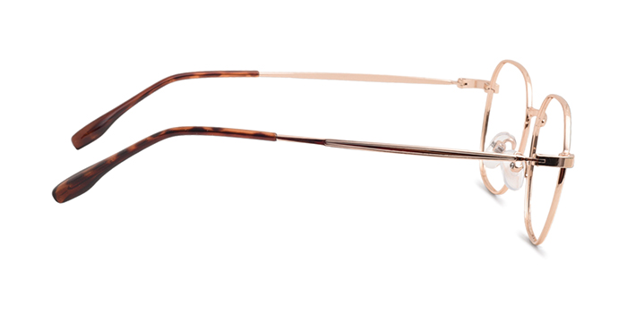  Gold Full Frame Hexagon Eyeglasses for Men and Women