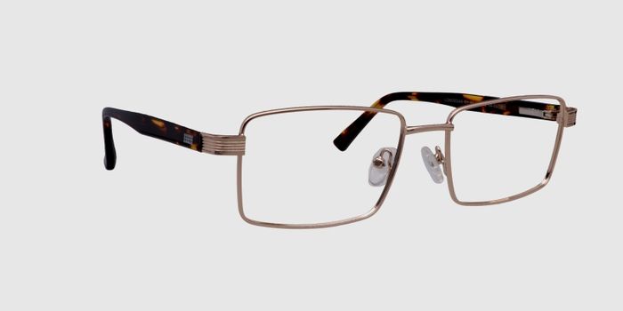  Gold Full frame Rectangle Eyeglasses for Men