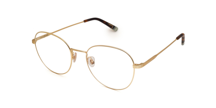 Etnia Barcelona Gold Full Frame Round Eyeglasses for Men and Women