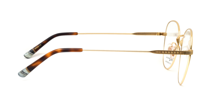 Etnia Barcelona Gold Full Frame Round Eyeglasses for Men and Women