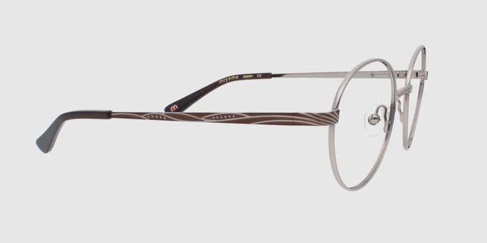  Gun Full rim Round Eyeglasses for Women