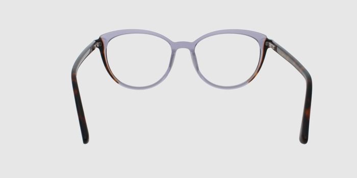  Grey transparent Full rim Round Eyeglasses for Men and Women