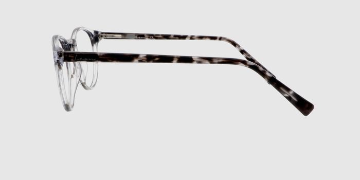  Grey transparent Full frame Round Eyeglasses for Men and Women