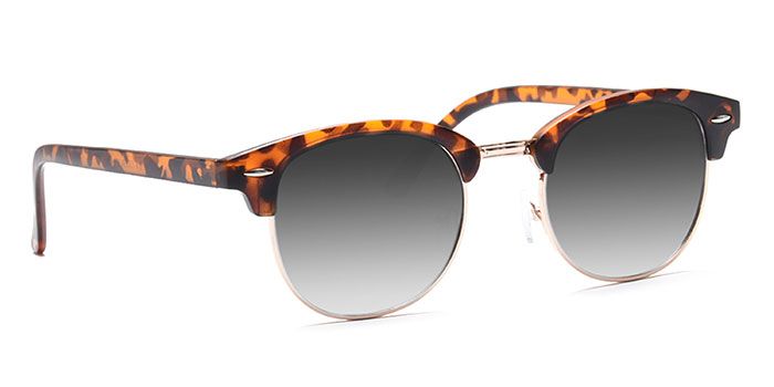 Alf Tortoise Tinted Clubmaster 
