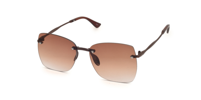  Brown Tinted Wayfarer Sunglases for Women