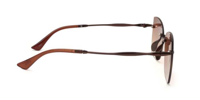  Brown Tinted Wayfarer Sunglases for Women