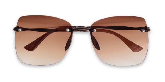  Brown Tinted Wayfarer Sunglases for Women