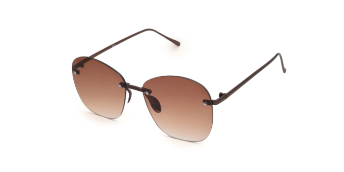  Brown Tinted Wayfarer Sunglases for Women