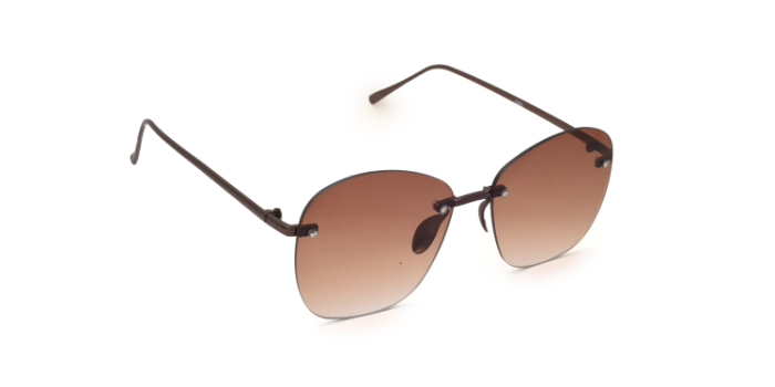  Brown Tinted Wayfarer Sunglases for Women