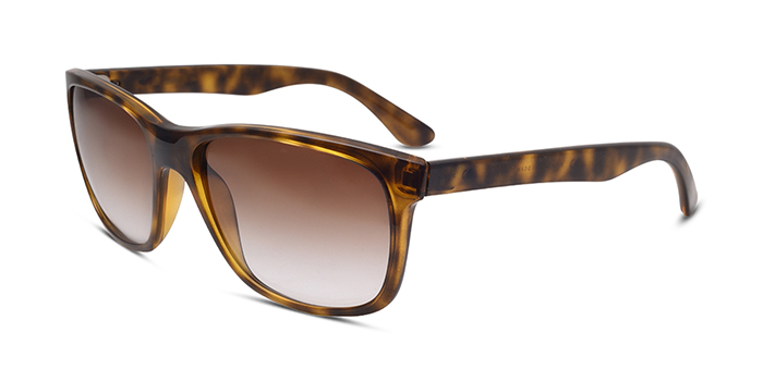 Ray-Ban Brown Tinted Wayfarer Sunglasses for Men and Women