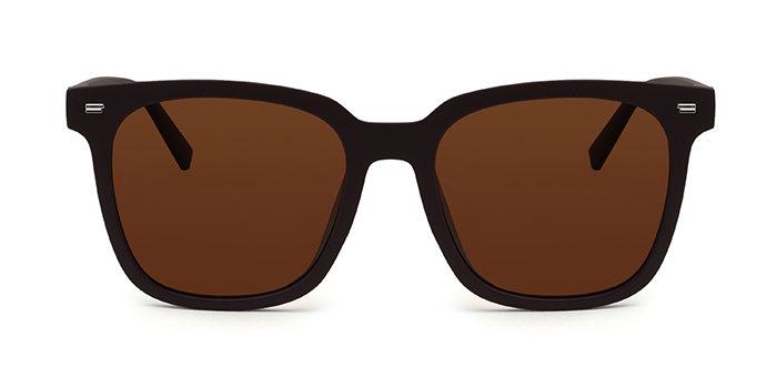  Brown Polarized Wayfarer Sunglasses for Men and Women