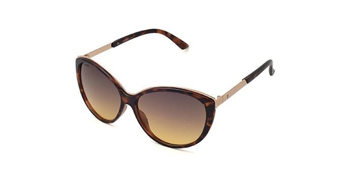 TITAN Brown Polarized Butterfly Sunglasses for Women