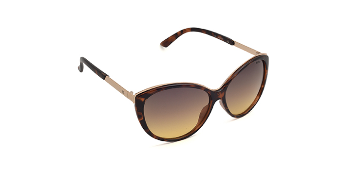 TITAN Brown Polarized Butterfly Sunglasses for Women