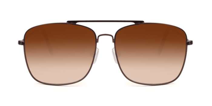  Brown Tinted Wayfarer Sunglasses for Men and Women