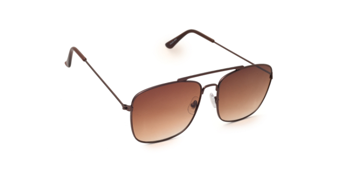  Brown Tinted Wayfarer Sunglasses for Men and Women