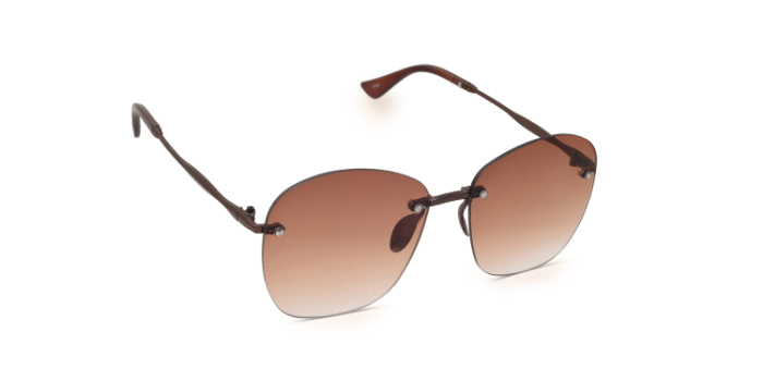  Brown Tinted Wayfarer Sunglases for Women