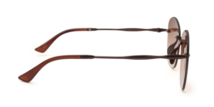  Brown Tinted Wayfarer Sunglases for Women