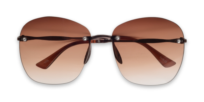  Brown Tinted Wayfarer Sunglases for Women