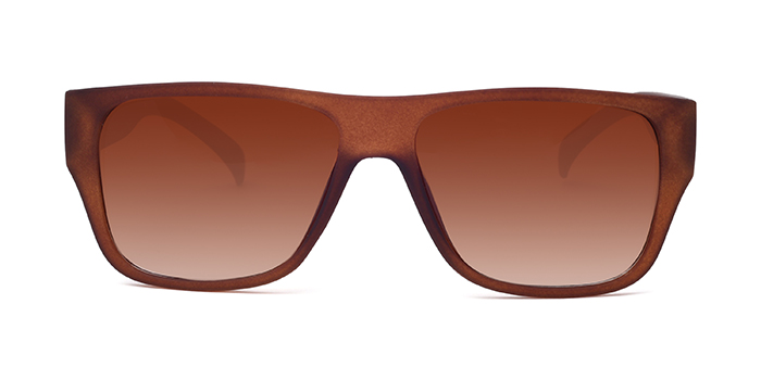  Brown Tinted Wayfarer Sunglasses for Men and Women