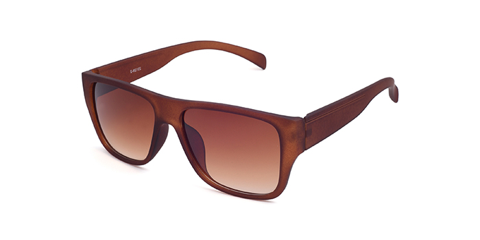  Brown Tinted Wayfarer Sunglasses for Men and Women