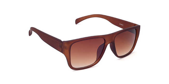  Brown Tinted Wayfarer Sunglasses for Men and Women