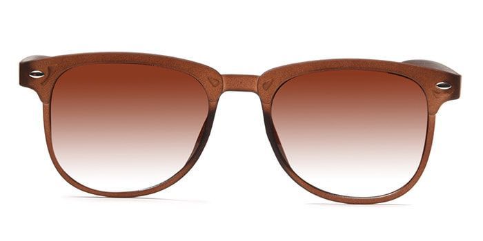  Brown Tinted Wayfarer Sunglasses for Men and Women