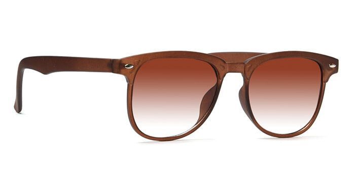  Brown Tinted Wayfarer Sunglasses for Men and Women