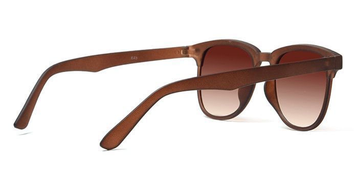  Brown Tinted Wayfarer Sunglasses for Men and Women