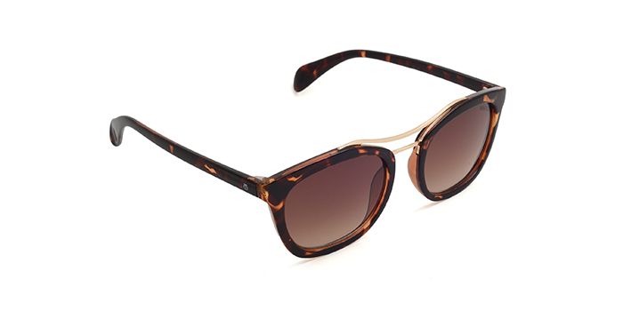 TITAN Brown Tinted Wayfarer Sunglasses for Men