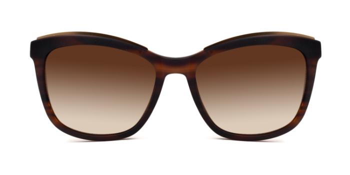 Brendel Brown Tinted Square Sunglasses for Men and Women