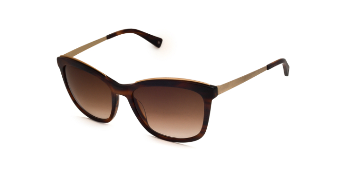 Brendel Brown Tinted Square Sunglasses for Men and Women